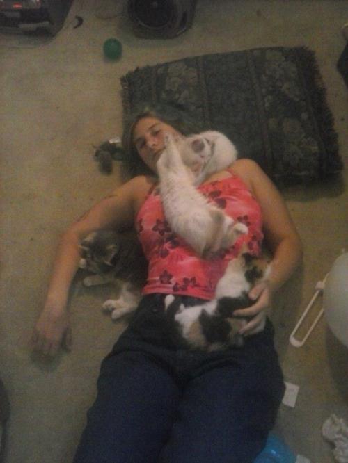 Kitten_With_The_Kittys