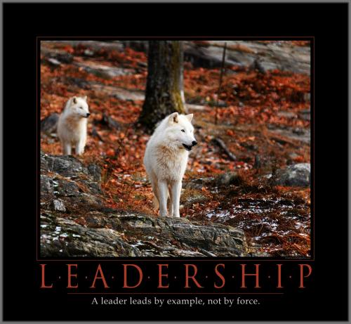 Leadership