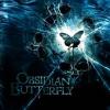 Obsidian_Butterfly_