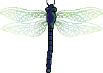 <img:stuff/aj/2605/dragonfly.png>
