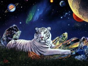 <img300*0:stuff/cosmic_tiger.jpg>