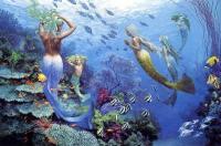 <img200*0:stuff/z/34119/Mermaids/i1187907599_11.jpg>